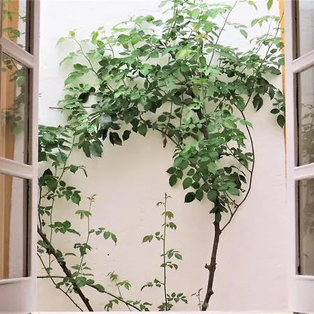 Casa Da Buganvilia Апартаменты *